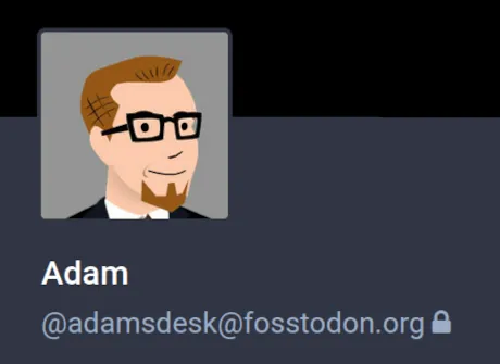 Mastodon profile lock example.